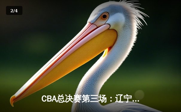 CBA总决赛第三场：辽宁本钢111-93再胜浙江广厦，总比分2-1领先 - 2