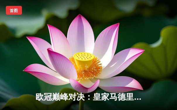 欧冠巅峰对决：皇家马德里3-1逆转多特蒙德，维尼修斯双响加冕第15冠