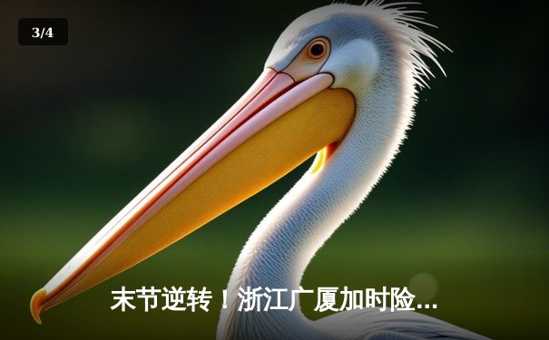 末节逆转！浙江广厦加时险胜广东宏远，胡金秋35+18主宰内线 - 3